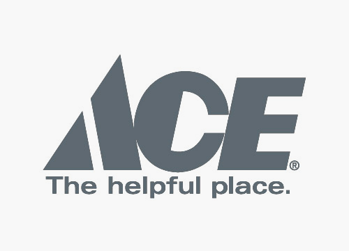 ACE logo image